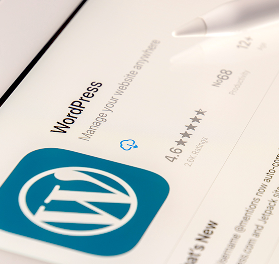 wordpress image